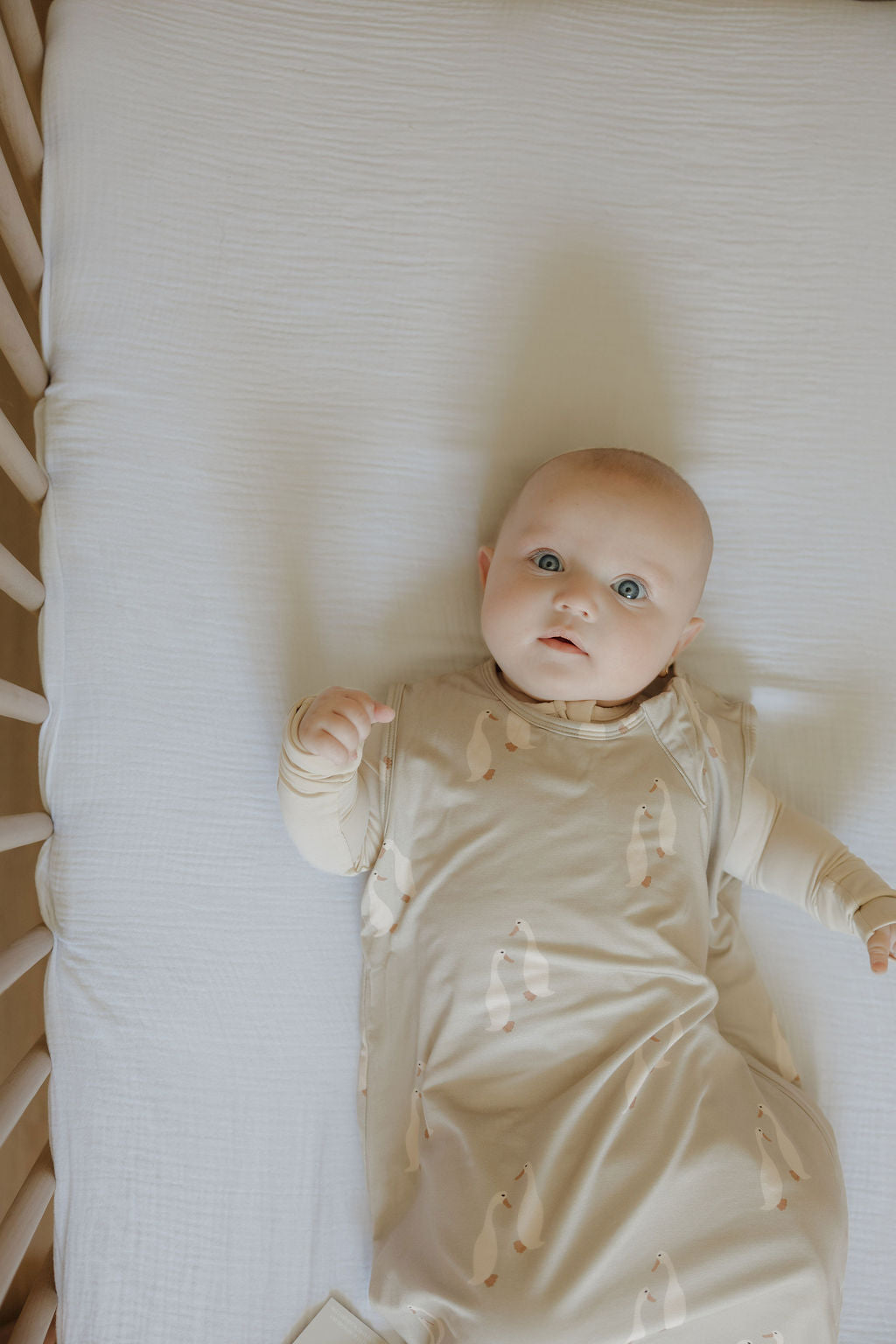 Bamboo Sleep Sack | Silly Goose