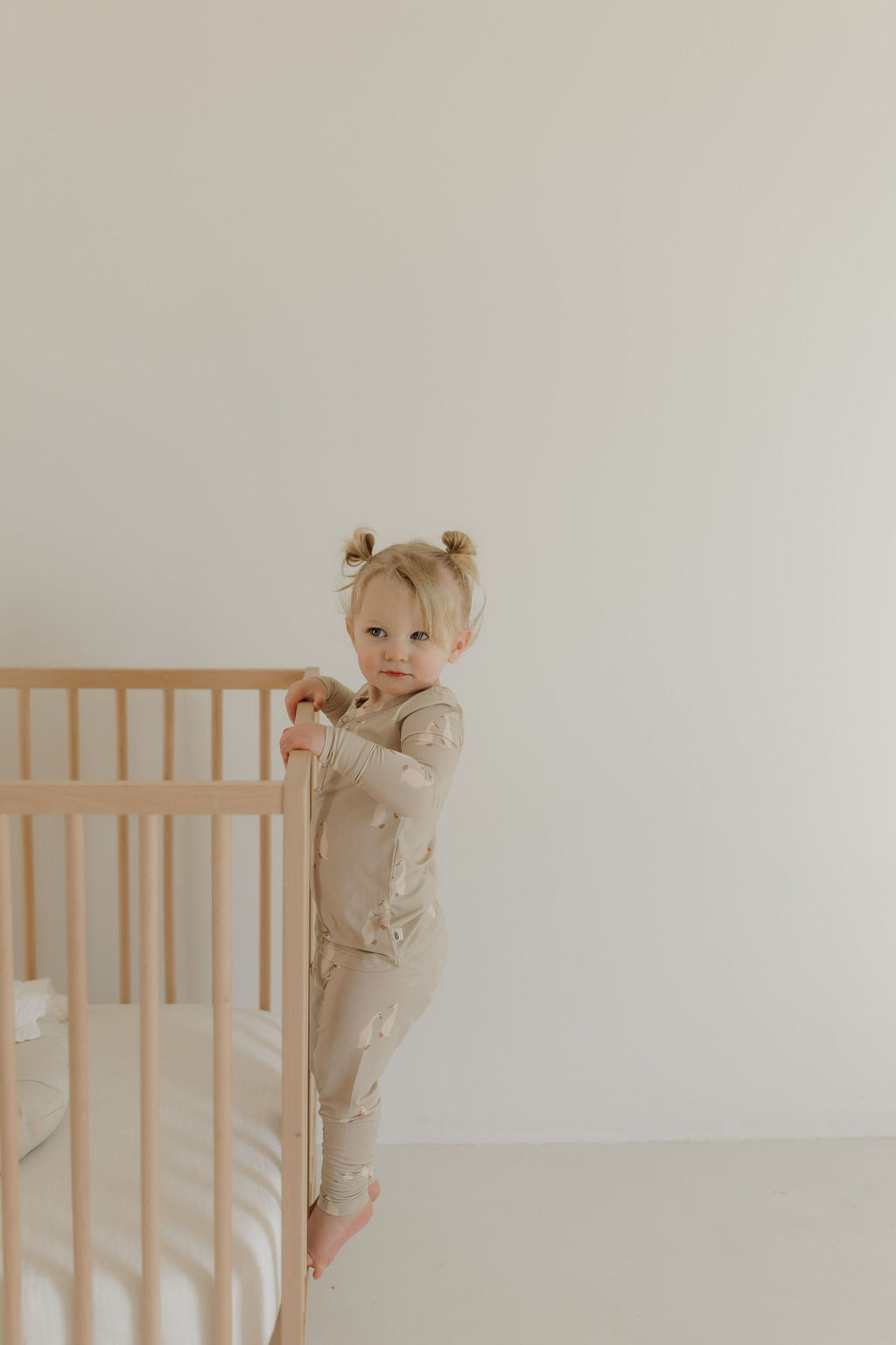 Bamboo Two Piece Pajamas Set | Silly Goose