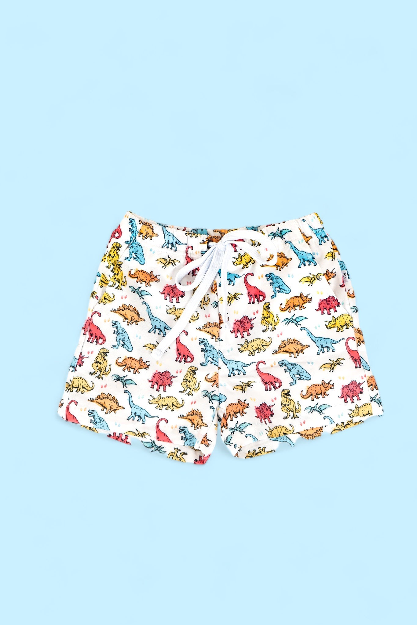 COLOR ME DINO DREAM SWIM TRUNKS