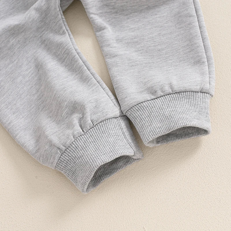 Baby Toddler Boys 2Pcs Sundays Are For the Boys / Team Dino / I'm Just Here For The Snacks / Fall Outfit Letter / Birds Football Print Long Sleeve Top Elastic Waist Pants Set