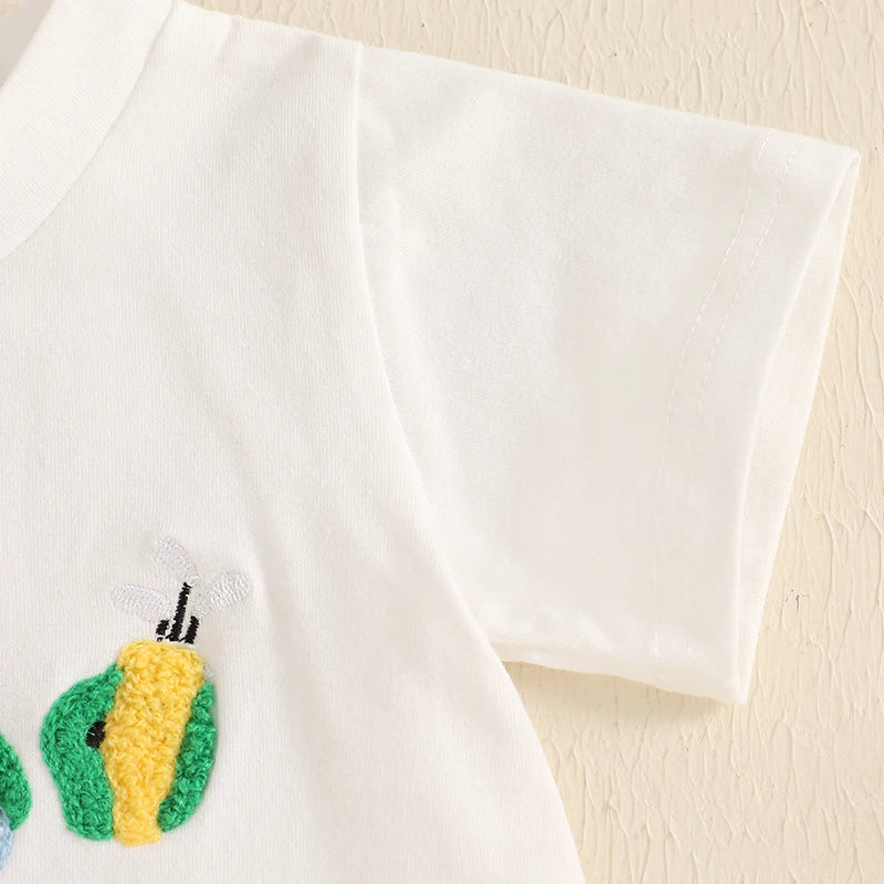 Toddler 2Pcs Baby Boy Summer Outfits Short Sleeve Golf Embroidery T-Shirt + Plaid Shorts Set Clothes