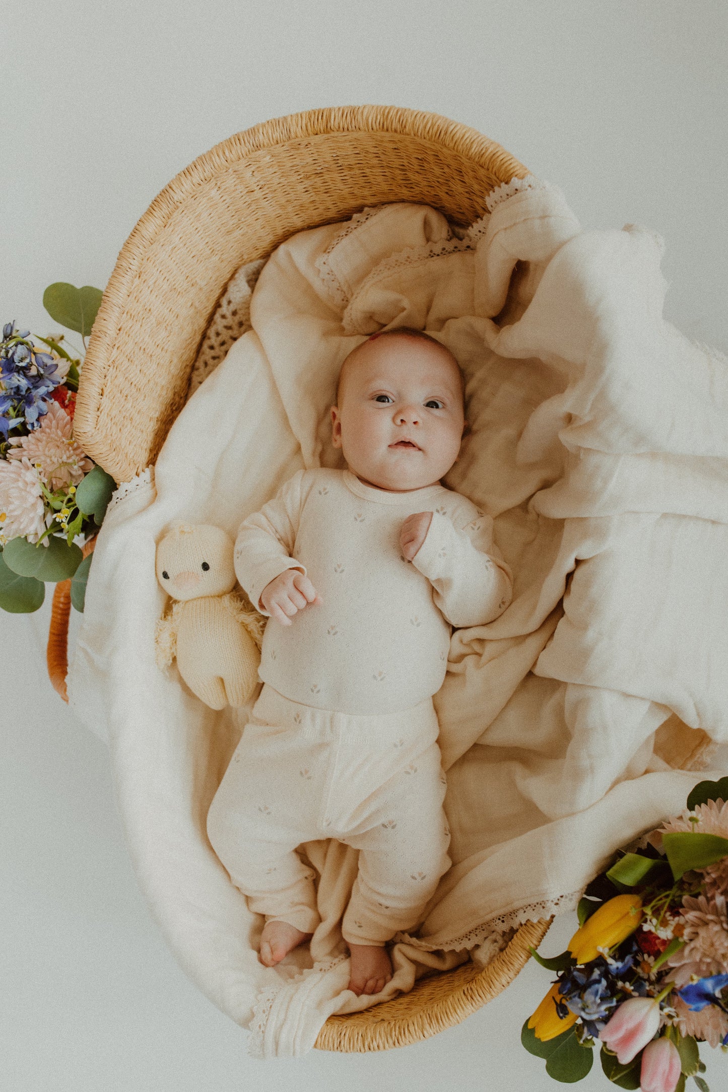 Cream Tulip Pointelle Floral Set