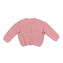 Load image into Gallery viewer, Baby Girl Boy Fall Winter Long Sleeve Knit Sweater
