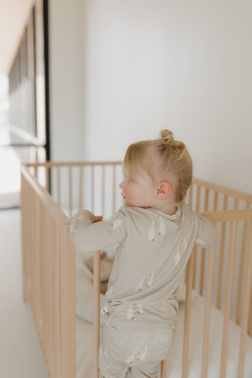 Bamboo Two Piece Pajamas Set | Silly Goose