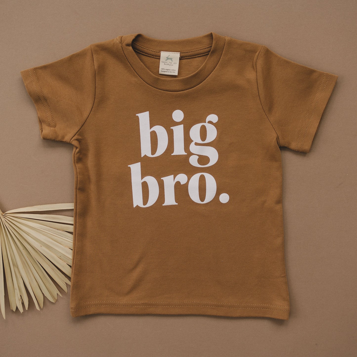 Big Bro Organic Cotton T-Shirt - more colors