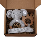 Pacifier Clip Teether Toy Set