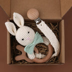 Pacifier Clip Teether Toy Set