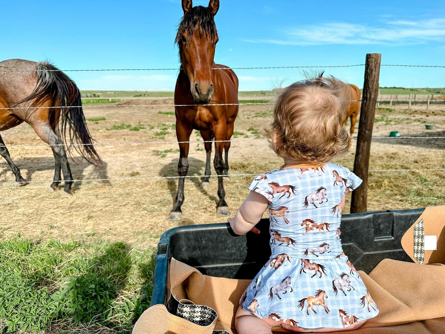 Neigh-ty Night - Horse Farm Bodysuit Romper Dress