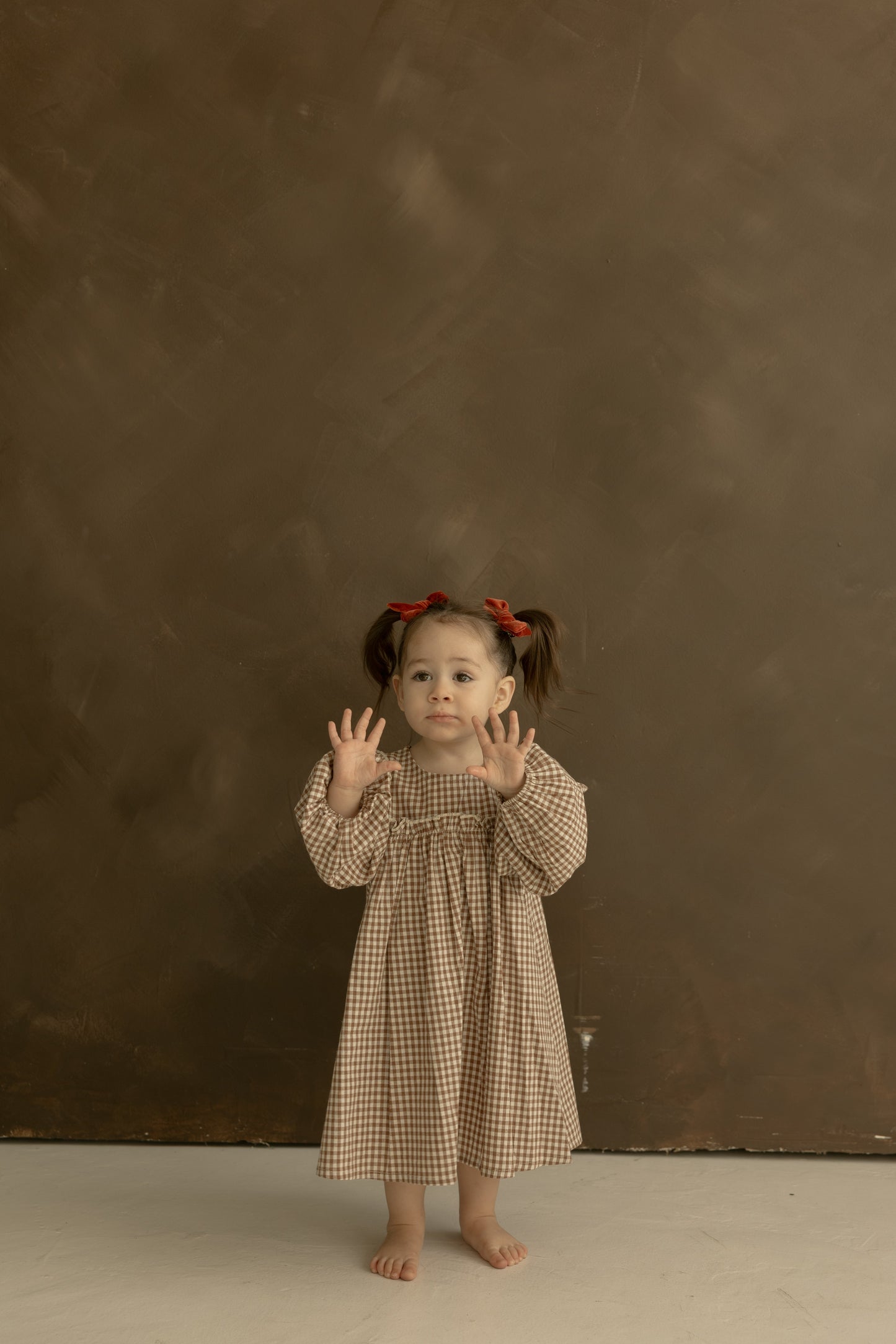 Child Long Sleeve Dress | Honey Gingham