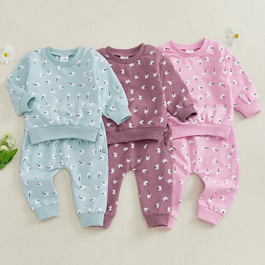 Baby Toddler Girls 2Pcs Fall Outfit Floral Flower Print Long Sleeve O-Neck Pullover with Elastic Waist Long Pants Jogger Set