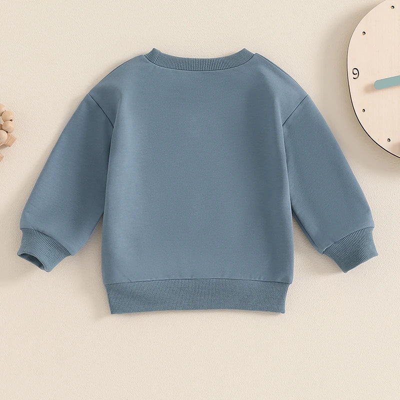 Baby Toddler Boys Big Brother Letter Print Long Sleeve Pullover Autumn Top