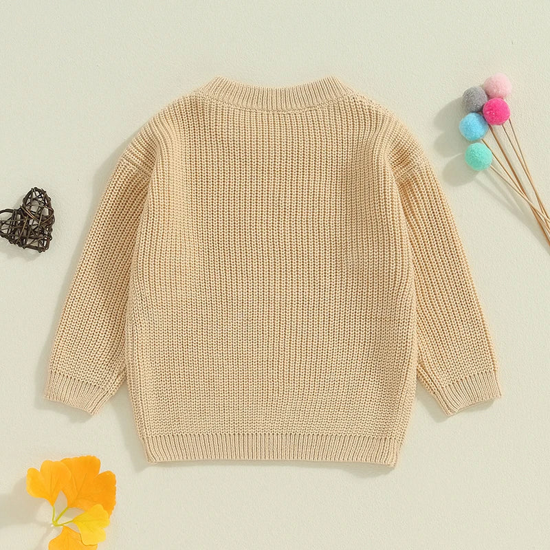 Baby Toddler Kids Girls Big Sister Autumn Winter Knit Sweater Long Sleeve O Neck Letter Embroidery Pullover Knitwear Top