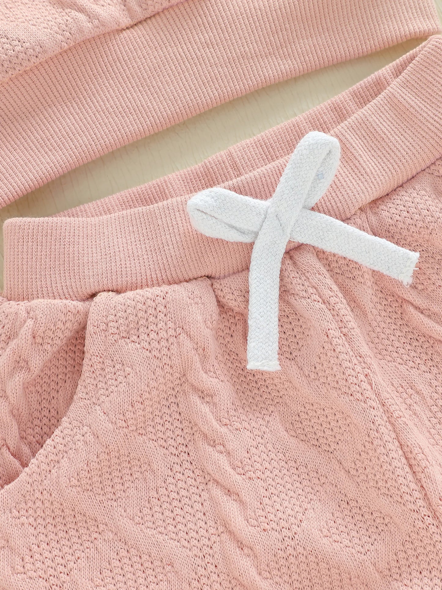 Baby Toddler Girls 2 Piece Outfits Creative Flower Embroidery Long Sleeve Crew Neck Top and Elastic Waist Pants Jogger Set