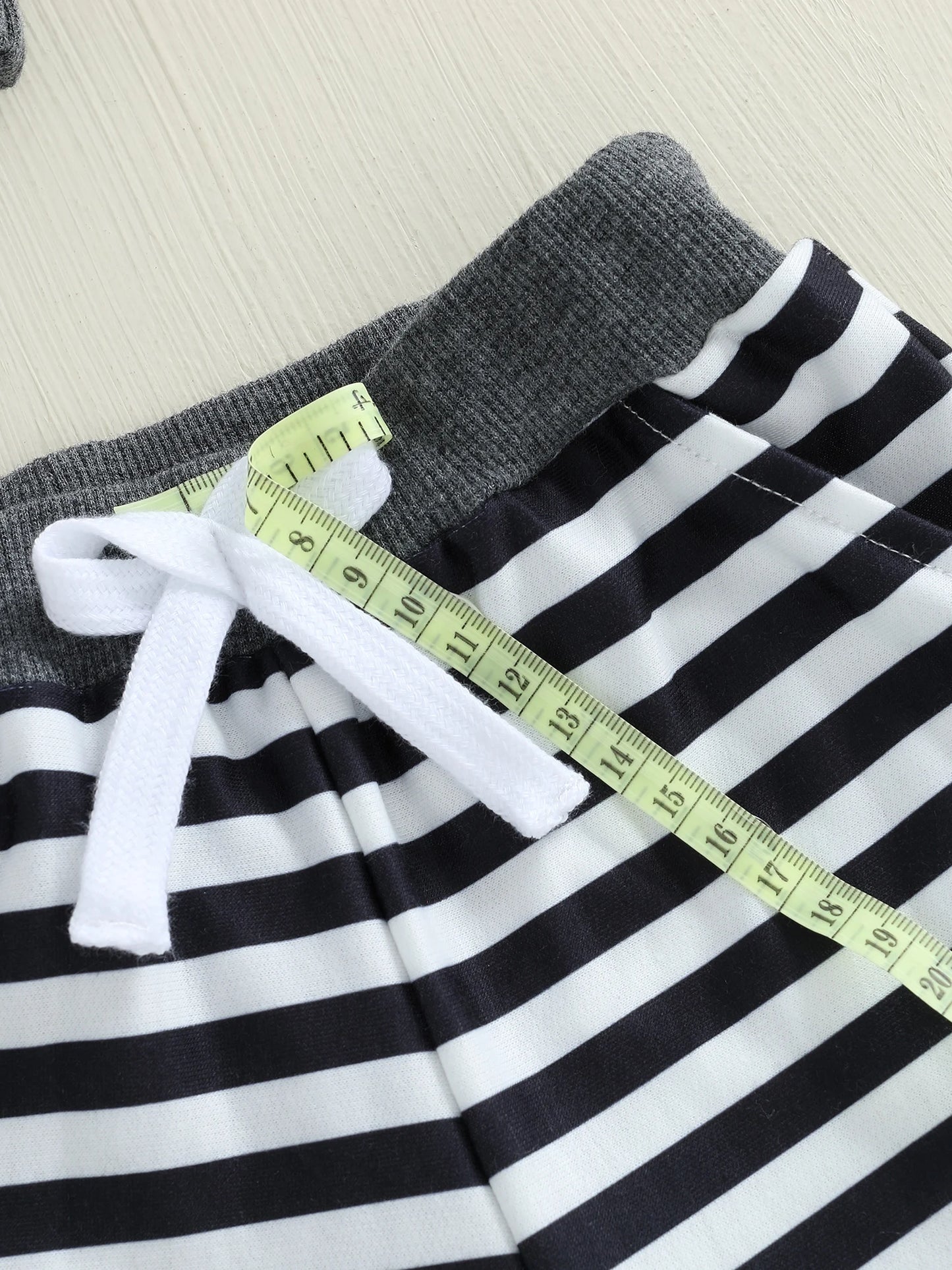 Baby Toddler Boy 2Pcs Fall Outfits Long Sleeve Animal Dinosaur Lemur Hoodies + Elastic Waist Stripe Pants 2Pcs Jogger Set