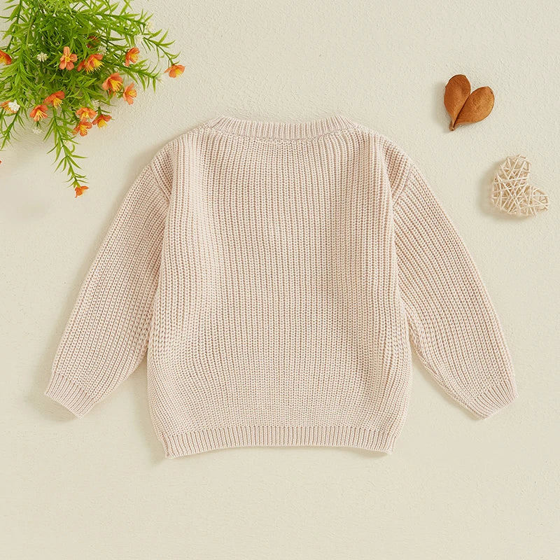 Baby Toddler Kids Girls Big Sister Fall Winter Sweater Casual Letter Flower Embroidery Crew Neck Long Sleeve Pullover Top