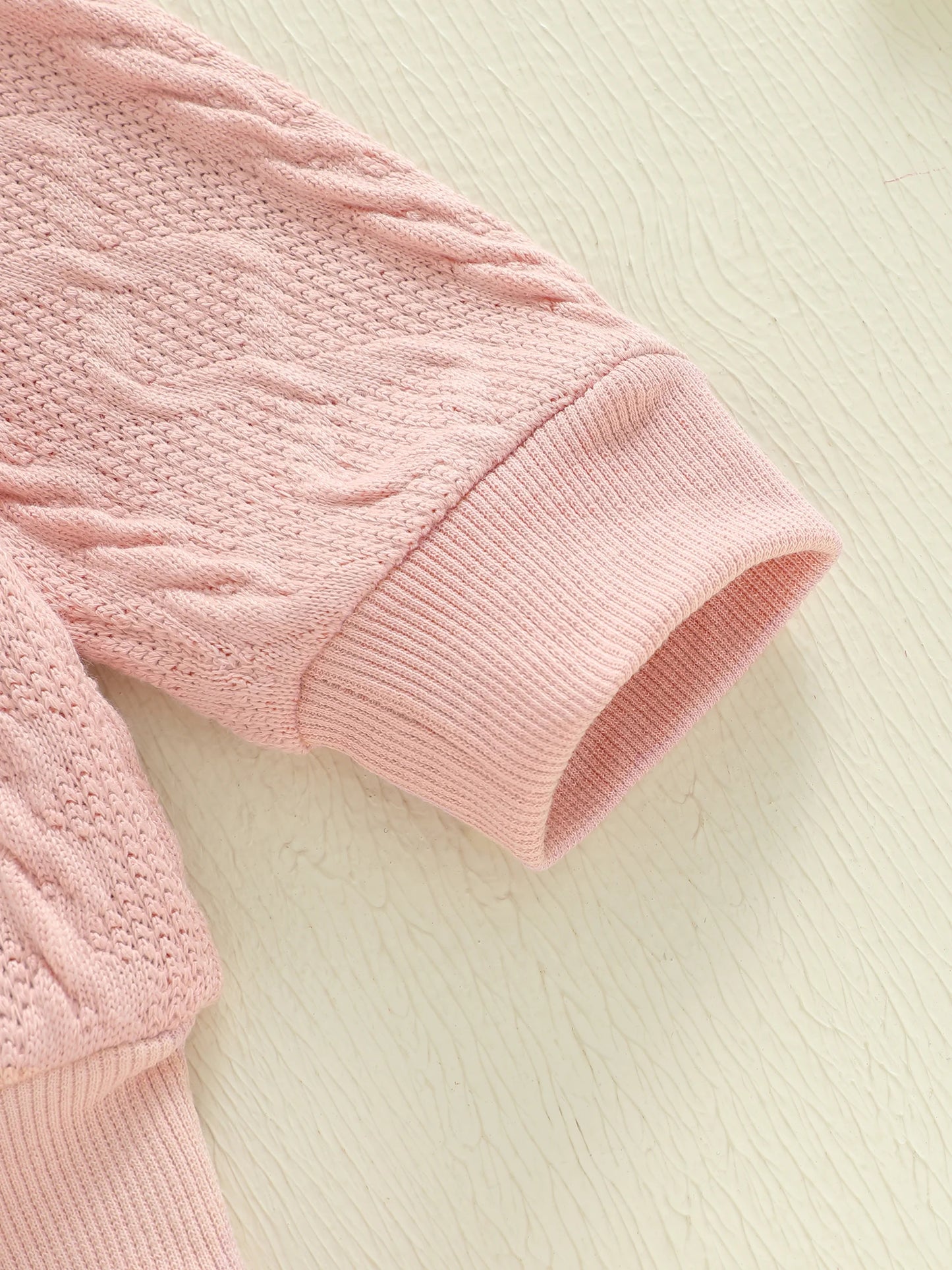 Baby Toddler Girls 2 Piece Outfits Creative Flower Embroidery Long Sleeve Crew Neck Top and Elastic Waist Pants Jogger Set