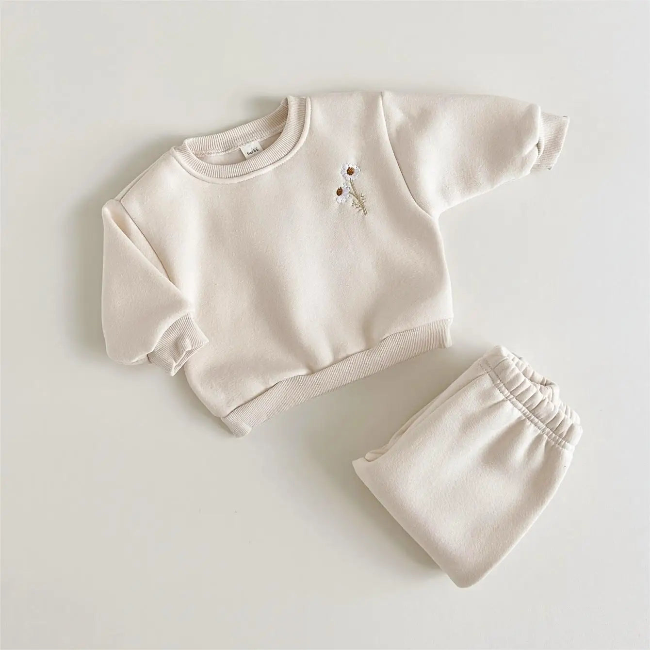 Baby Toddler Girls 2Pcs Long Sleeve Crewneck Top Flowers Embroidery + Pants Jogger Set Outfit