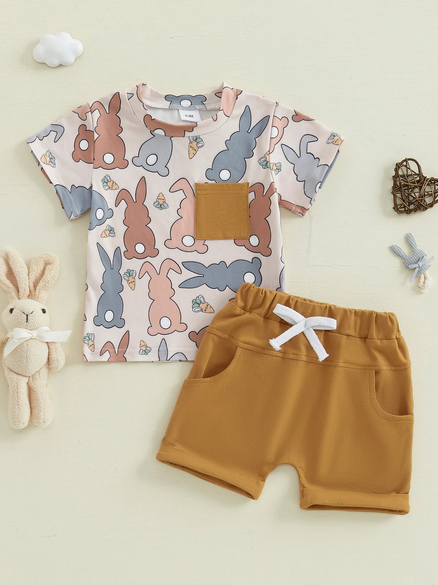 Baby Toddler Boys 2Pcs Easter Shorts Set Carrot Bunny Print Short Sleeve Round Neck Top Elastic Waistband Shorts