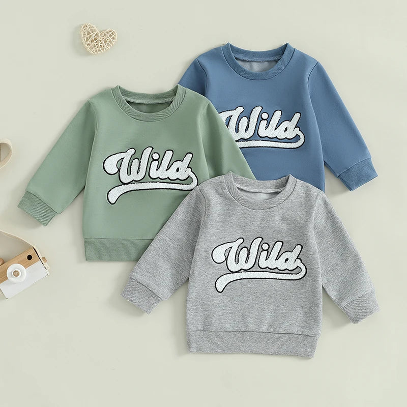 Toddler Kids Boys Girls Wild Fuzzy Letter Embroidered Crew Neck Long Sleeve Pullover Fall Casual Top