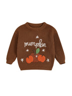 Baby Toddler Kids Boys Girls Halloween Fall Sweater Long Sleeve Round Neck Pumpkin/ Pumpkin Season Truck/Ghost Embroidery Knit Top