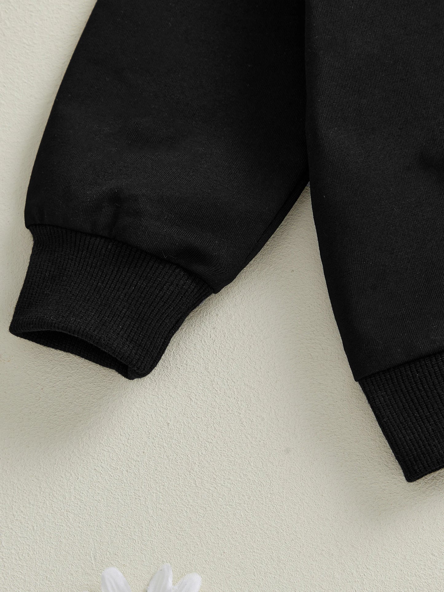 Baby Toddler Boy Girl 2Pcs Spring Fall Outfits Solid Color Long Sleeve Round Neck Pullover Top + Elastic Waist Long Pants Jogger Set