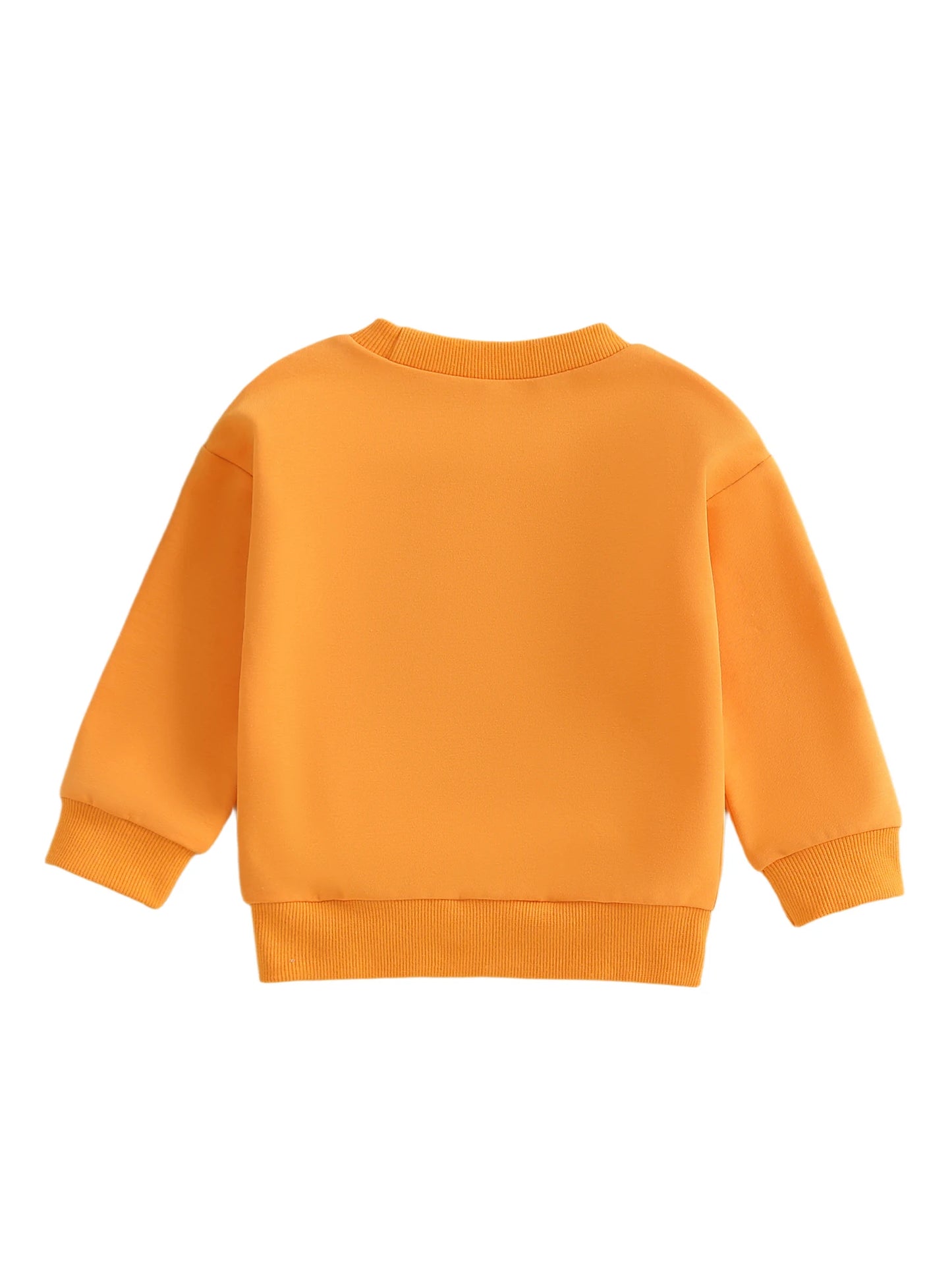 Baby Toddler Boys Girls Long Sleeve Pumpkin/Ghost/Christmas Tree Embroidery Crew Neck Top
