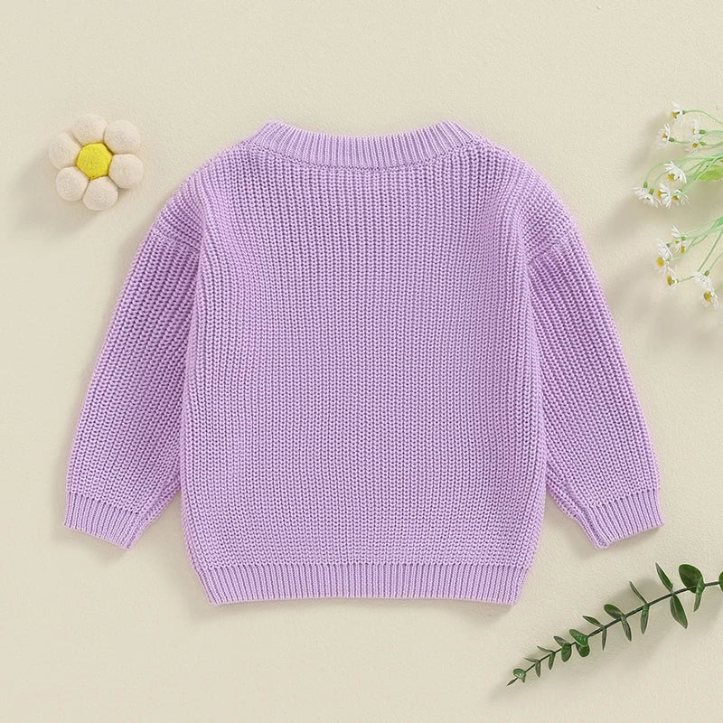 Toddler Kids Girl Big Sister Sweater Cute Long Sleeve Letter Embroidery Knit Pullover Loose Top