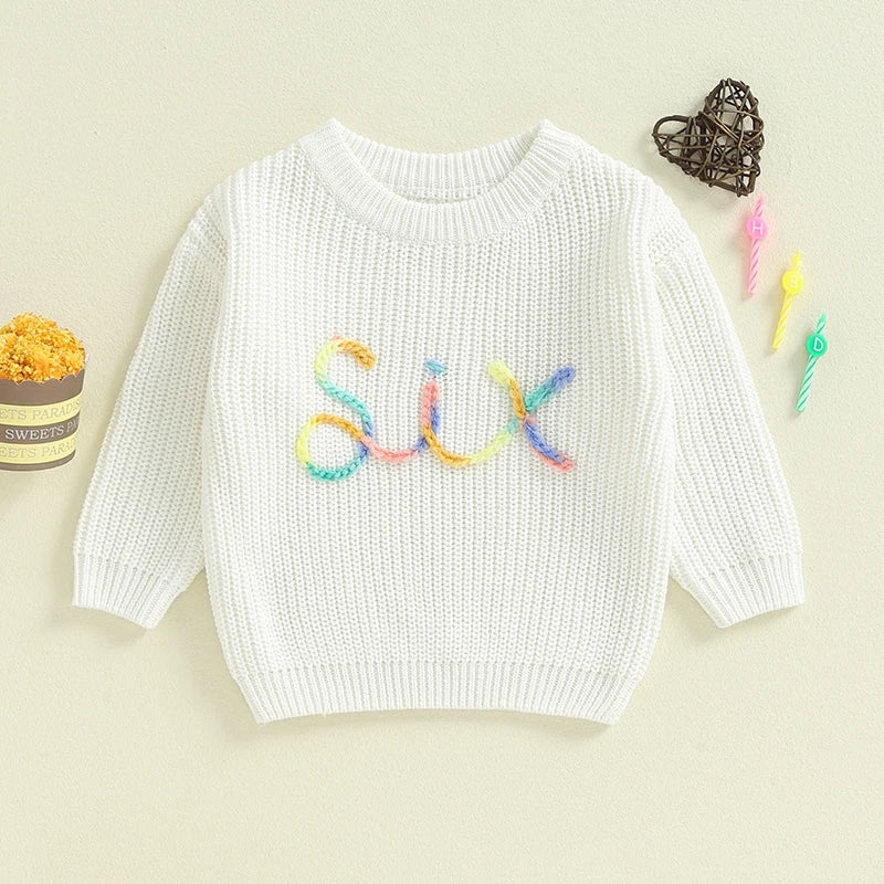 Toddler Kids Girls Boys Sweater Birthday Two / Three / Four / Five / Six Year Old Number Letter Embroidery Crew Neck Long Sleeve Pullover Fall Top