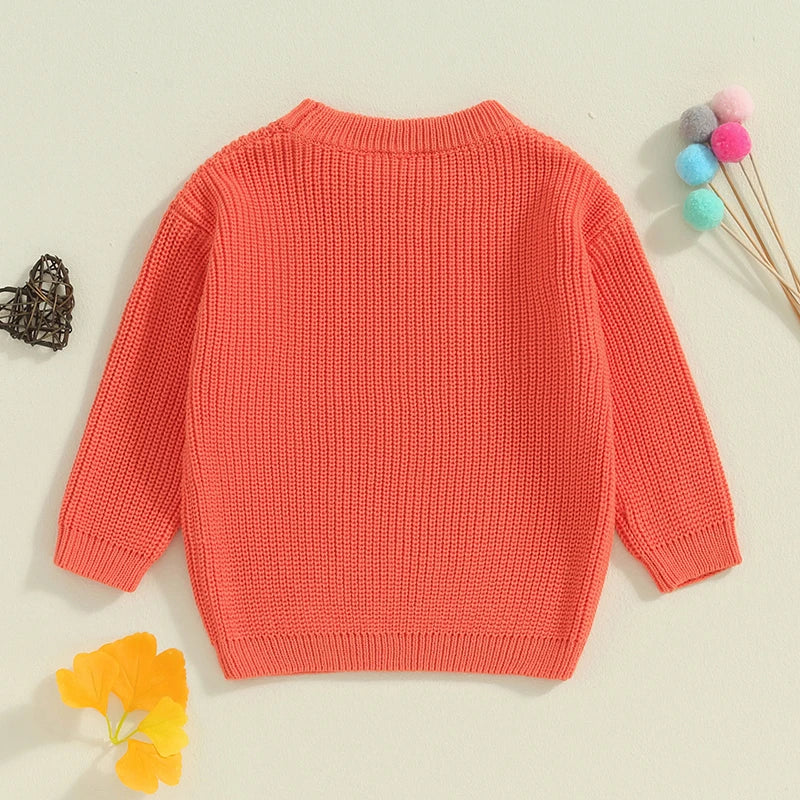 Baby Toddler Kids Girls Big Sister Autumn Winter Knit Sweater Long Sleeve O Neck Letter Embroidery Pullover Knitwear Top