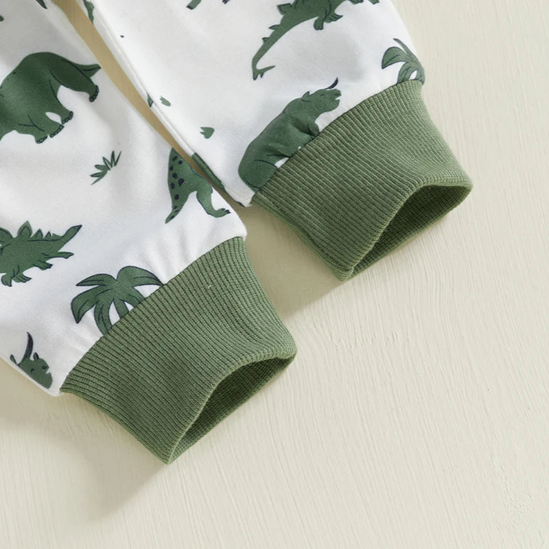 Baby Toddler Boys 2Pcs Outfit Long Sleeve Dinosaur Print Crewneck Top Drawstring Pants Jogger Set