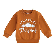 Load image into Gallery viewer, Baby Toddler Kids Boy Girl Long Sleeve Crew Neck Farm Fresh Pumpkins Print Pullover Halloween Clothes
