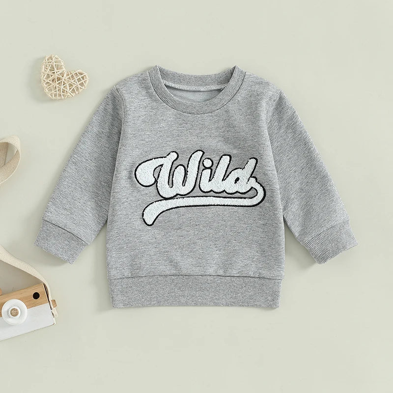 Toddler Kids Boys Girls Wild Fuzzy Letter Embroidered Crew Neck Long Sleeve Pullover Fall Casual Top