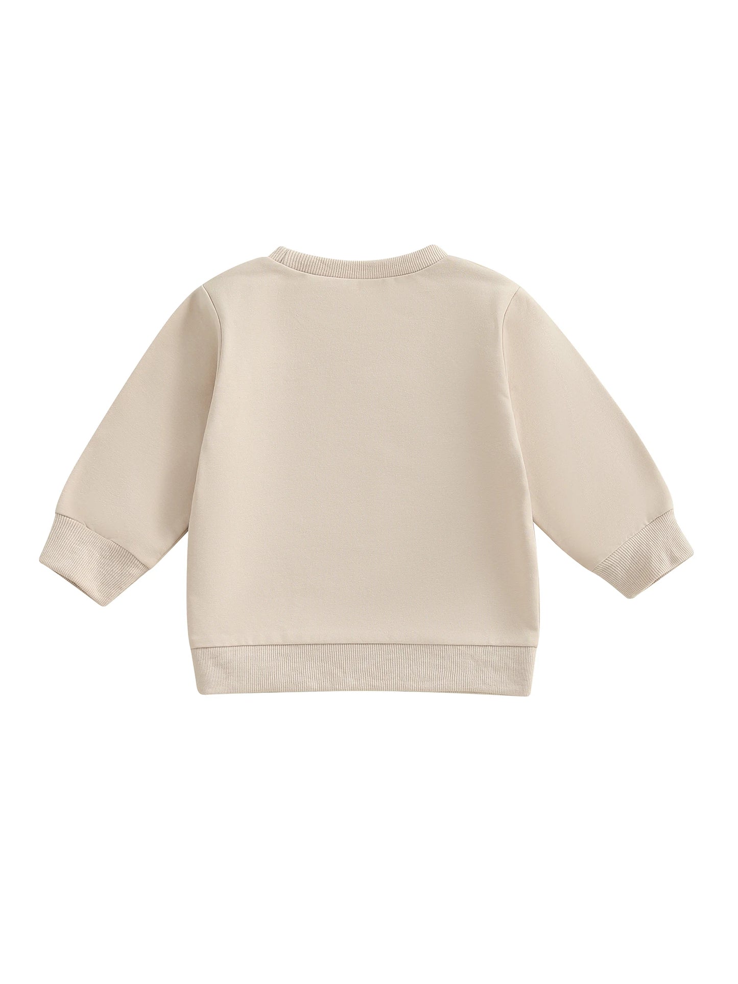 Baby Toddler Girls Boys Halloween Ghost Pumpkin Print Stylish Loose Fit Casual O-Neck Long Sleeve Pullover Top
