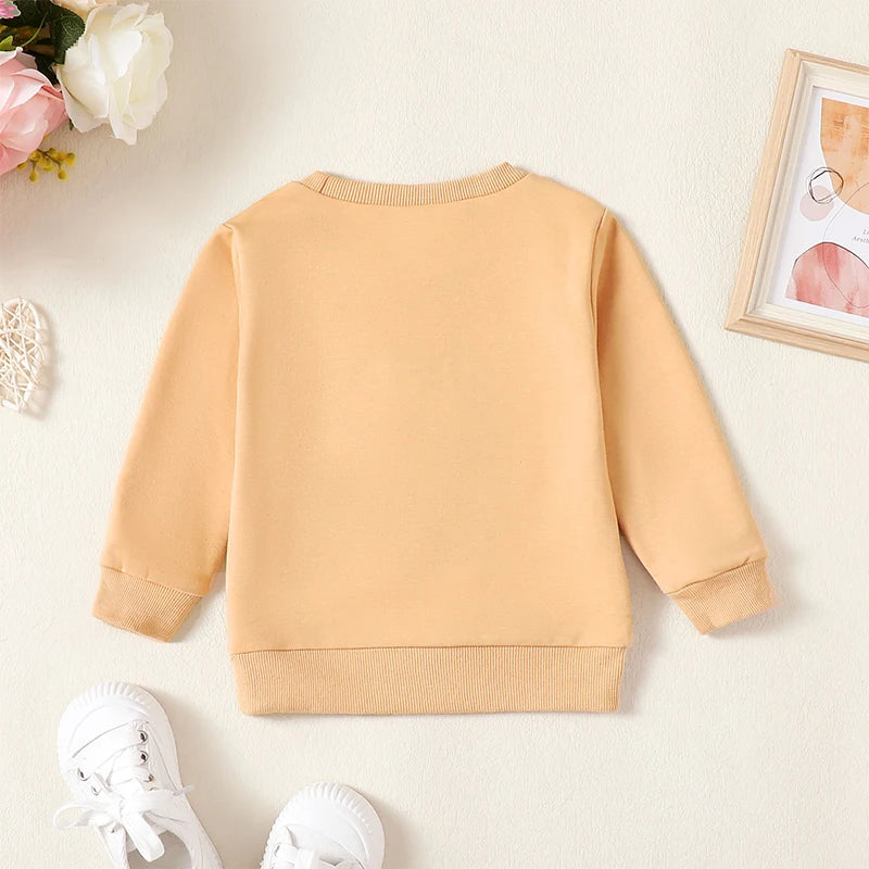 Baby Toddler Girl Daddy's Little Girl Letter Heart Fuzzy Embroidery Long Sleeve O-Neck Pullover Top