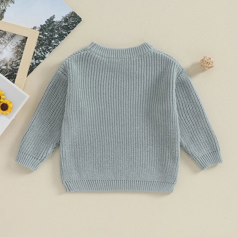 Baby Toddler Kids Girl Boy Knit Sweater Round Neck Long Sleeve Pullover Top Fall Winter Knitwear