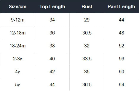 Baby Toddler Boy Girl 2Pcs Bear Winter Clothes Set Zipper Hooded Top with Ears Pant Suit Thick Warm Fleece Two Piece Jogger Set Outfit