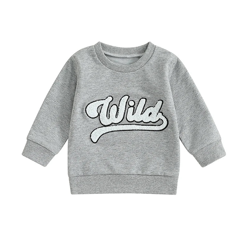 Toddler Kids Boys Girls Wild Fuzzy Letter Embroidered Crew Neck Long Sleeve Pullover Fall Casual Top