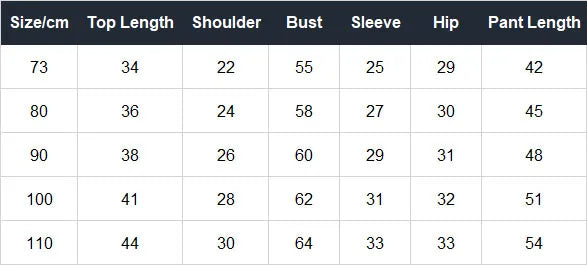 Baby Toddler Boy Girl 2Pcs Clothes Set Autumn Winter Infant Jogger Set Long Sleeve Pullover Top Pant Suit Outfit