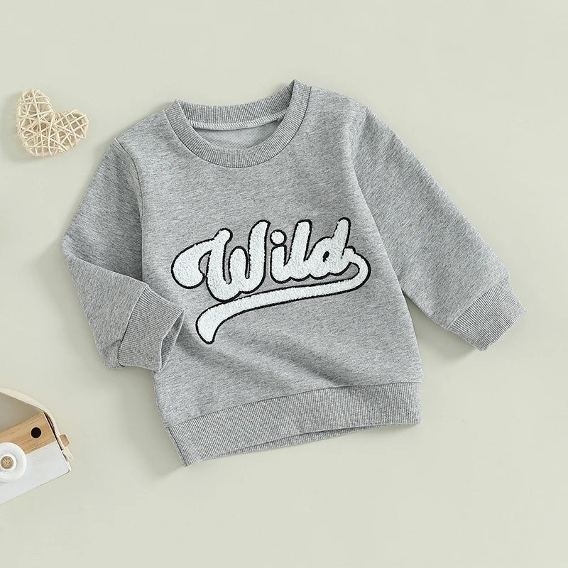 Toddler Kids Boys Girls Wild Fuzzy Letter Embroidered Crew Neck Long Sleeve Pullover Fall Casual Top