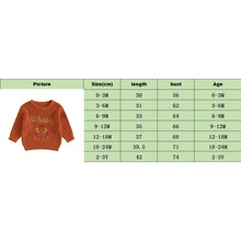 Load image into Gallery viewer, Baby Toddler Boys Girls Wild Turkey Thanksgiving Sweater Casual Letter Turkey Embroidery Warm Knitted Long Sleeve Pullover Knitwear Top
