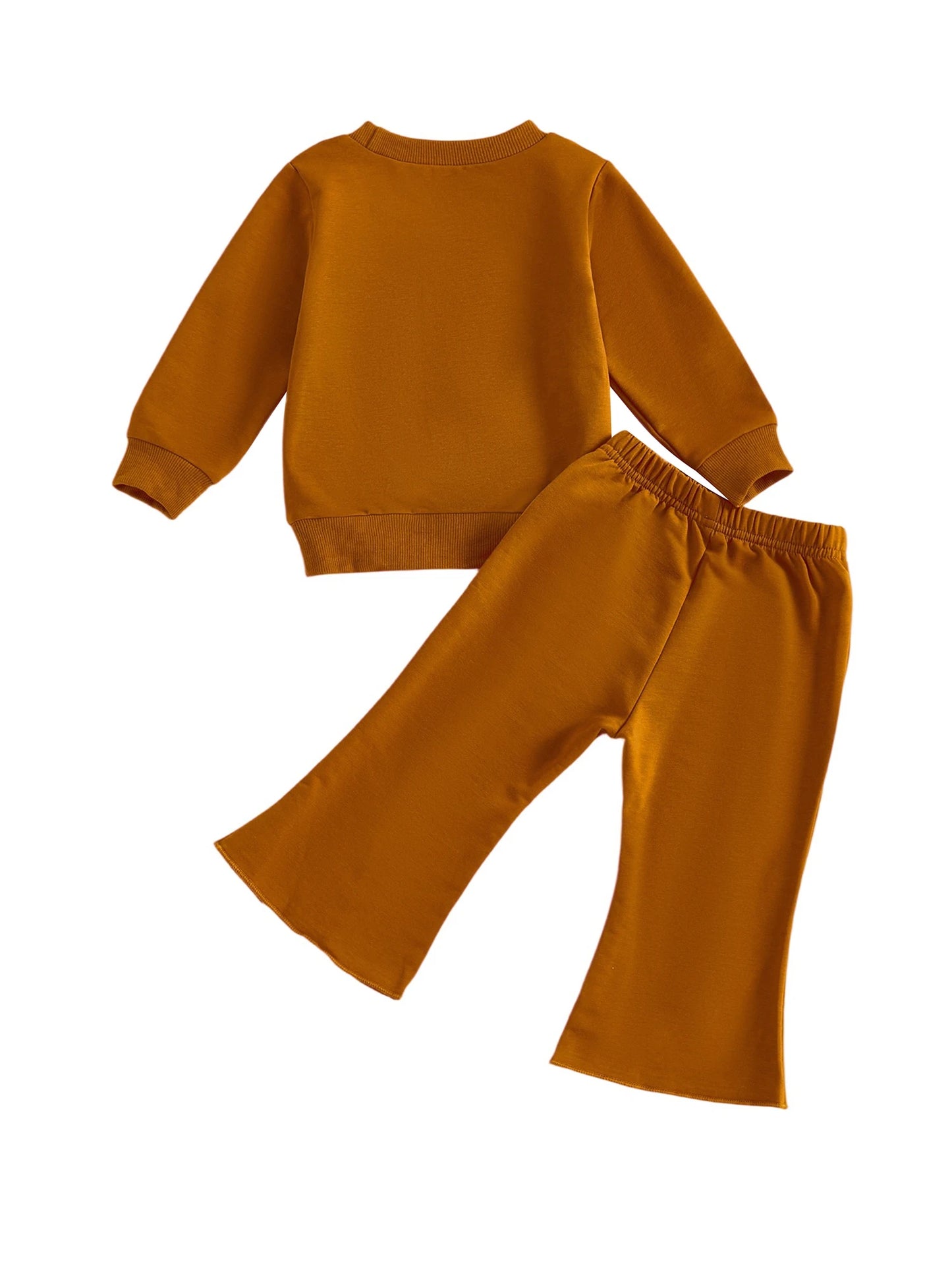 Baby Toddler Girl 2Pcs Fall Outfit Bow Decor Long Sleeve Round Neck Pullover Top + Elastic Waist Flare Pants 2Pcs Set