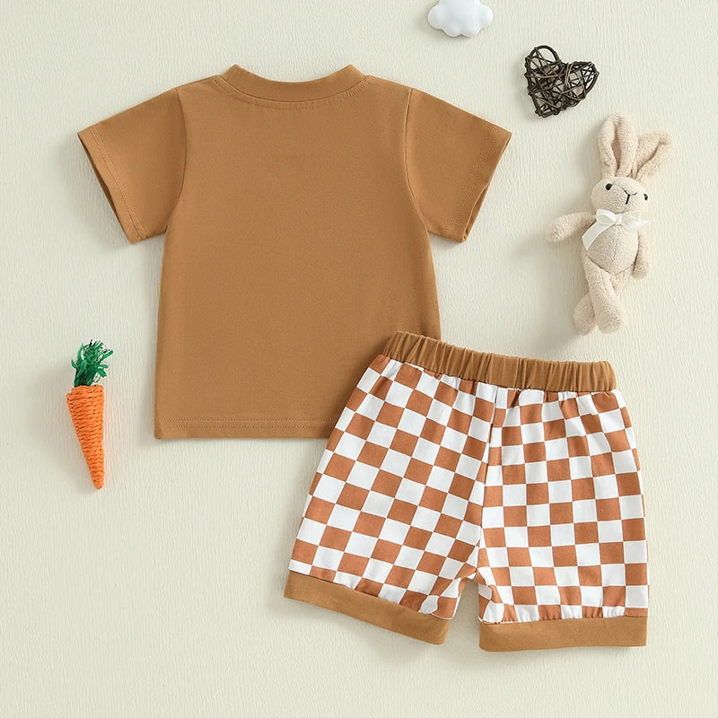 Baby Toddler Boys 2Pcs Mr. Steal Your Eggs Easter Outfit Letter Bunny Rabbit Short Sleeve T-Shirt Top Checkered Shorts Spring Set