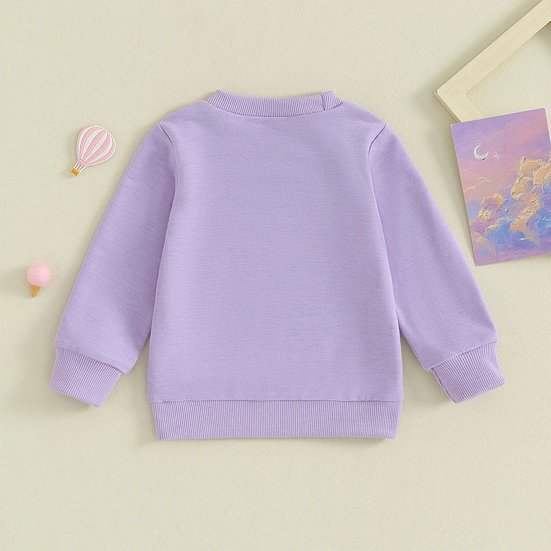 Toddler Baby Girls Clothes Sister Matching Outfits Letter Big Little Sis Embroidery Long Sleeve Bubble Romper or Long Sleeve Top