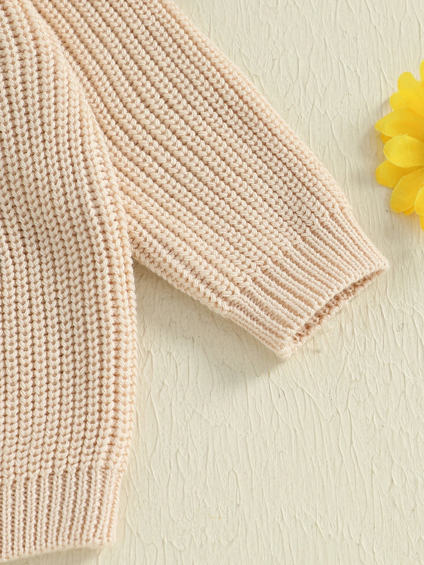 Baby Toddler Boys Girls Silly Goose Sweater Animal Letter Embroidered Crewneck Long Sleeve Pullover Knit Top