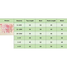 Load image into Gallery viewer, Baby Toddler Kids Girls 2Pcs Fall Outfit Floral Strawberry Flower Print Crew Neck Long Sleeve Top and Long Pants Clothes Set
