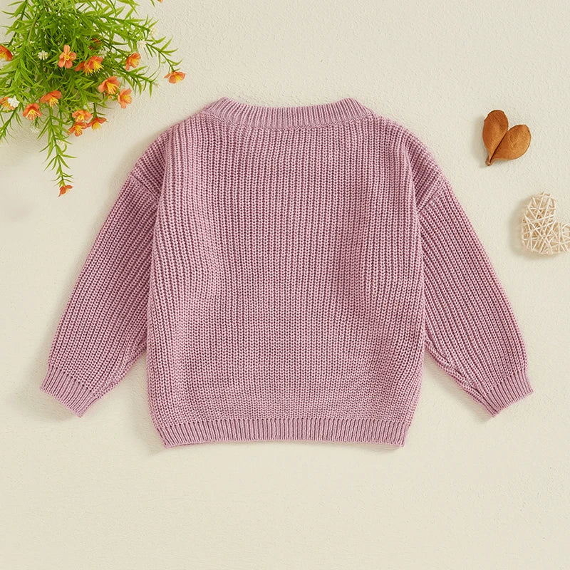 Baby Toddler Kids Girls Big Sister Fall Winter Sweater Casual Letter Flower Embroidery Crew Neck Long Sleeve Pullover Top