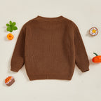 Baby Toddler Kids Boys Girls Halloween Fall Sweater Long Sleeve Round Neck Pumpkin/ Pumpkin Season Truck/Ghost Embroidery Knit Top