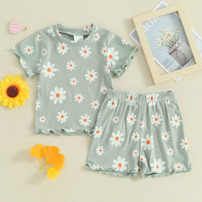 Toddler Baby Girl 2Pcs Spring Summer Clothes Floral Flowers Print Short Sleeve Crewneck Top with Matching Shorts Set Outfit