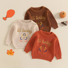 Load image into Gallery viewer, Baby Toddler Boys Girls Wild Turkey Thanksgiving Sweater Casual Letter Turkey Embroidery Warm Knitted Long Sleeve Pullover Knitwear Top
