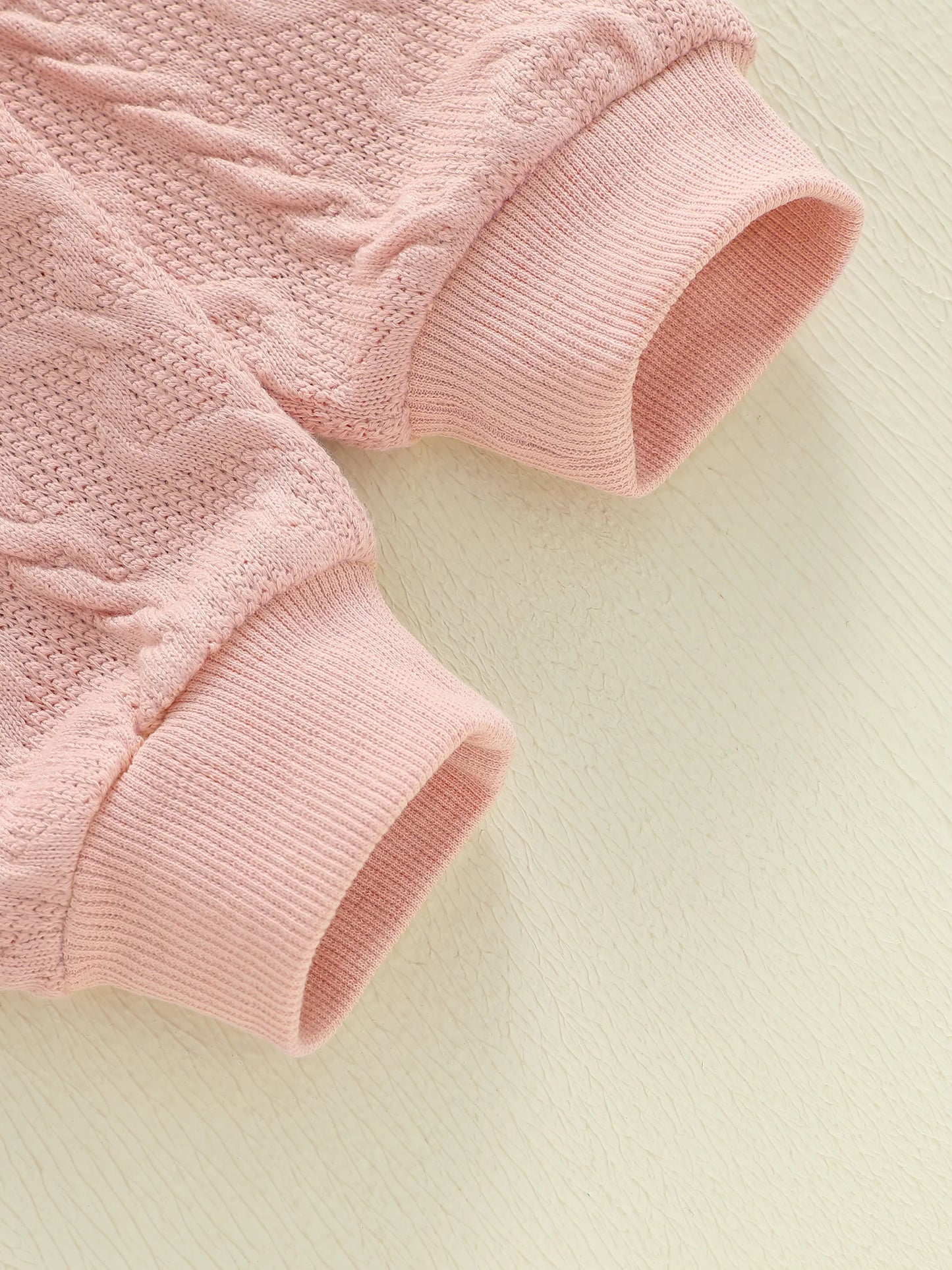 Baby Toddler Girls 2 Piece Outfits Creative Flower Embroidery Long Sleeve Crew Neck Top and Elastic Waist Pants Jogger Set